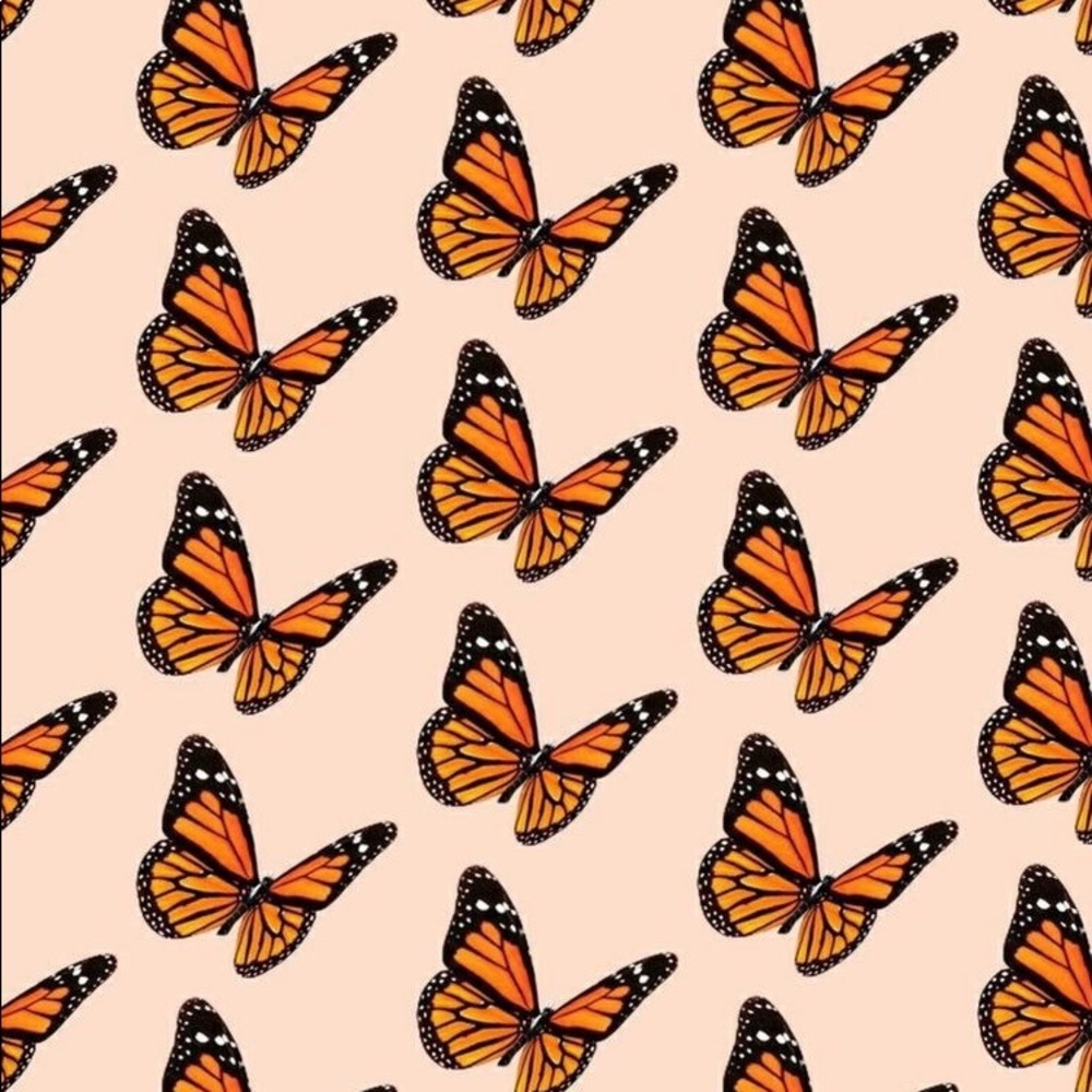 Meet your Posher, Julia